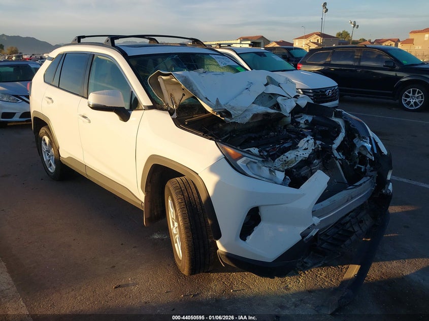 JTMP1RFV4KD029659 2019 Toyota Rav4 Xle auction photo 1