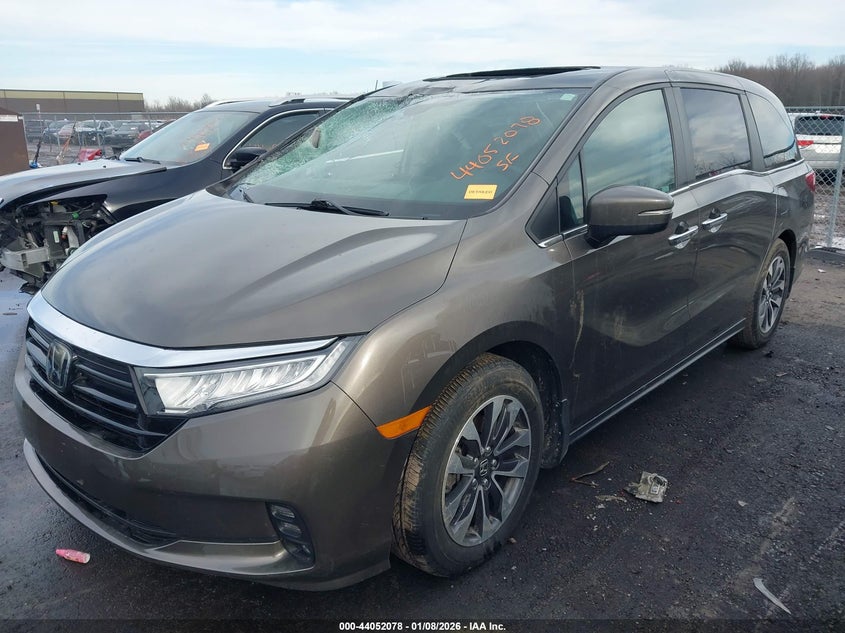 2021 Honda Odyssey Ex-L