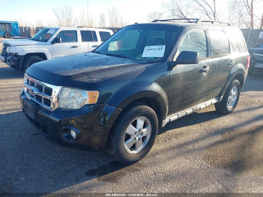 2011 Ford Escape Xlt