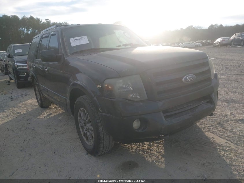 1FMJU2A54AEA75962 2010 Ford Expedition Limited auction photo 1