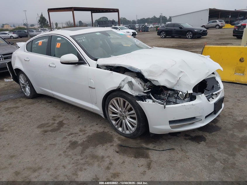 SAJWA0GB7BLR82143 2011 Jaguar Xf Premium auction photo 1