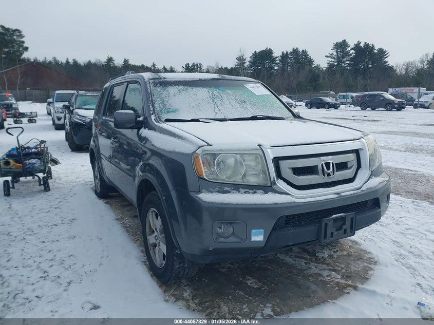 5FNYF4H5XBB099942 2011 Honda Pilot Ex-L auction photo 1