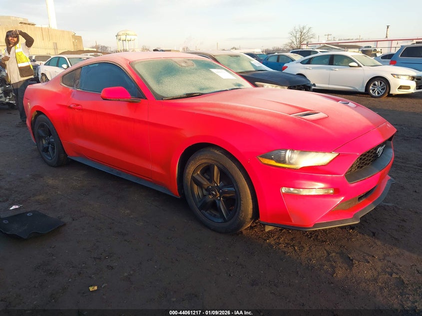 2019 Ford Mustang Ecoboost