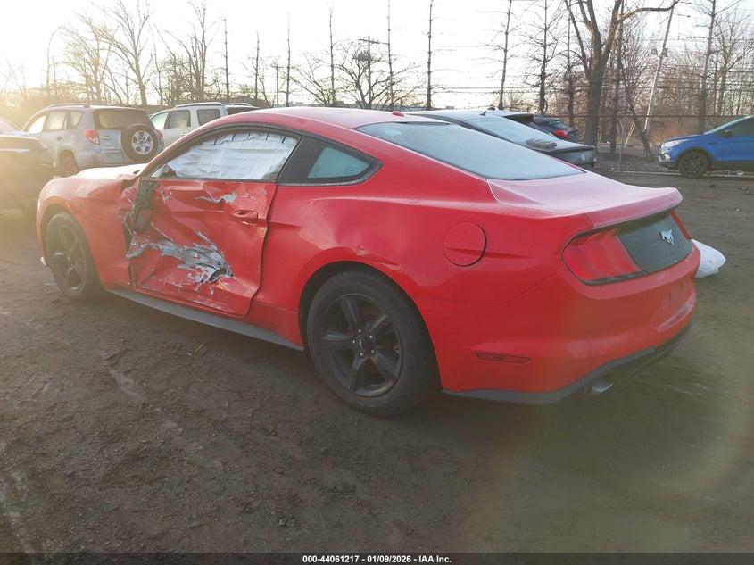 2019 Ford Mustang Ecoboost