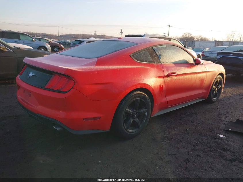 2019 Ford Mustang Ecoboost