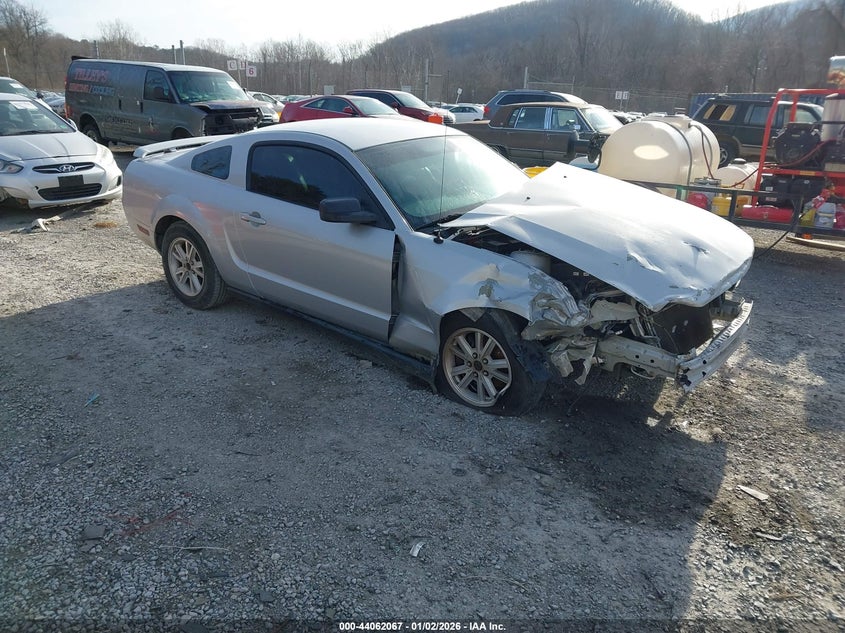 1ZVFT80N165188905 2006 Ford Mustang V6 auction photo 1