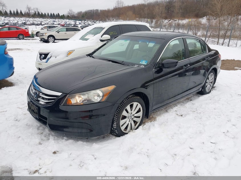 2011 Honda Accord 2.4 Ex-L