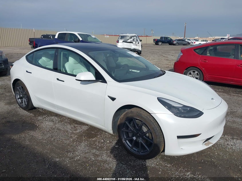 2023 Tesla Model 3 Rear-Wheel Drive