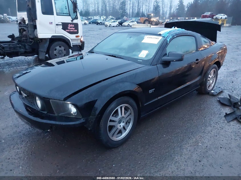 2005 Ford Mustang Gt Deluxe/Gt Premium