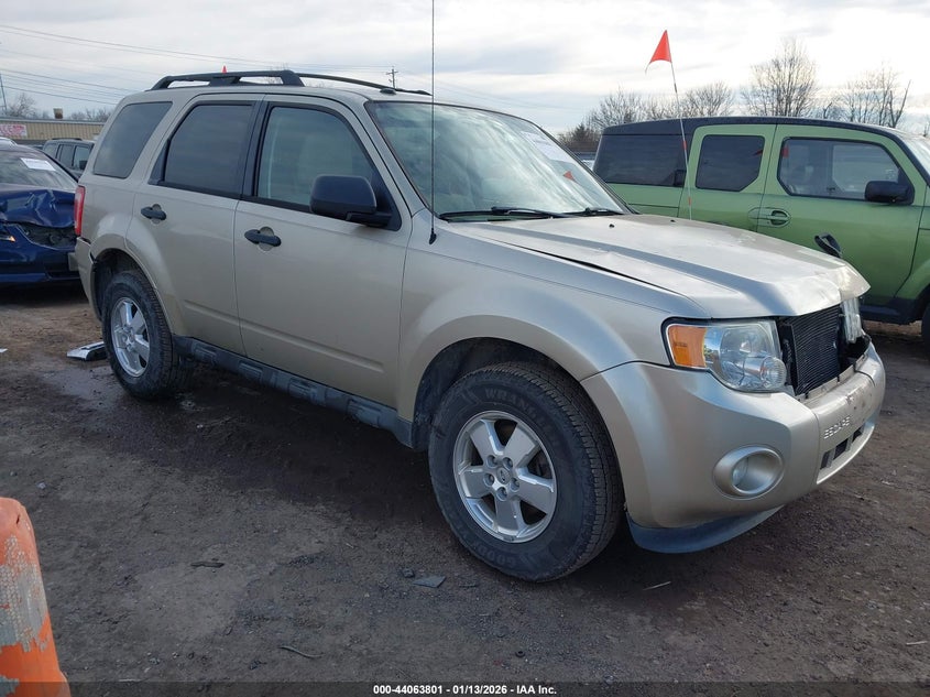 2011 Ford Escape Xlt