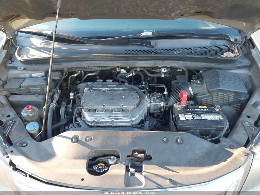 2009 Honda Odyssey Ex-L VIN: 5FNRL38789B404356 Lot: 44064728