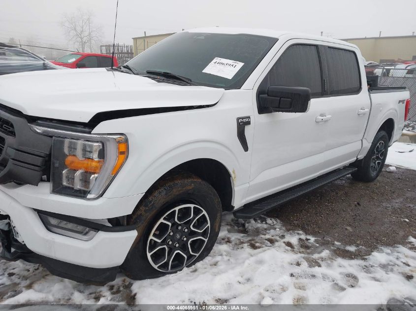 2023 Ford F-150 Xlt