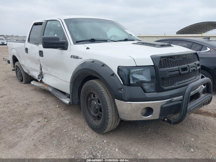 1FTFW1CF3EFD12994 2014 Ford F-150 Xl auction photo 1