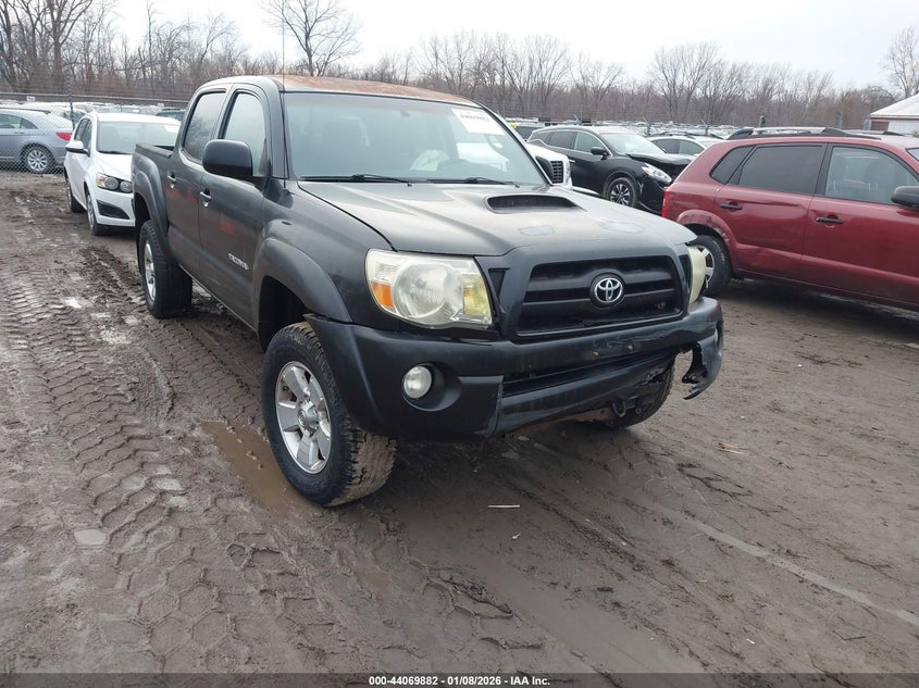5TELU42N56Z228828 2006 Toyota Tacoma Base V6 auction photo 1