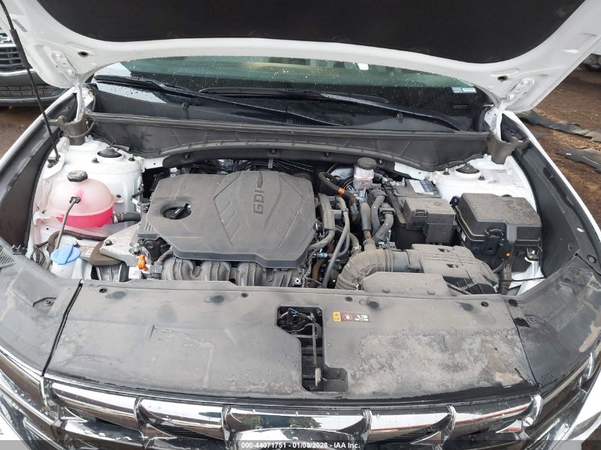 2024 Hyundai Tucson Limited VIN: 5NMJECDE0RH313124 Lot: 44071751