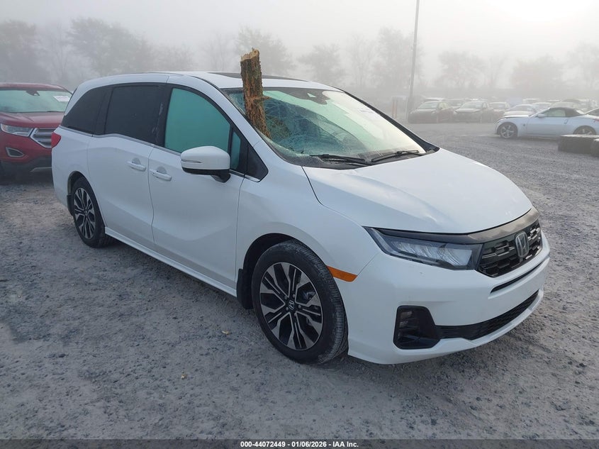 5FNRL6H99TB019513 2026 Honda Odyssey Elite auction photo 1