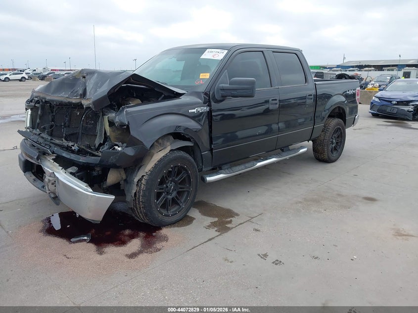 2010 Ford F-150 Fx4/Harley-Davidson/King Ranch/Lariat/Platinum/Xl/Xlt