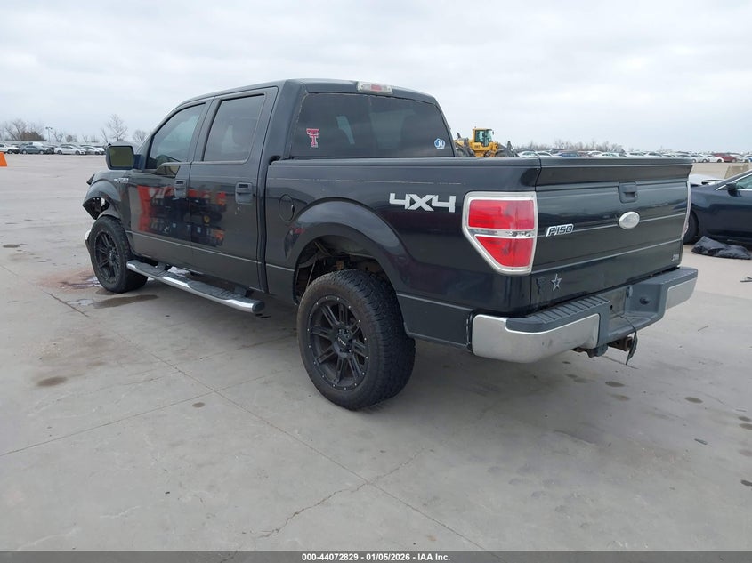 2010 Ford F-150 Fx4/Harley-Davidson/King Ranch/Lariat/Platinum/Xl/Xlt