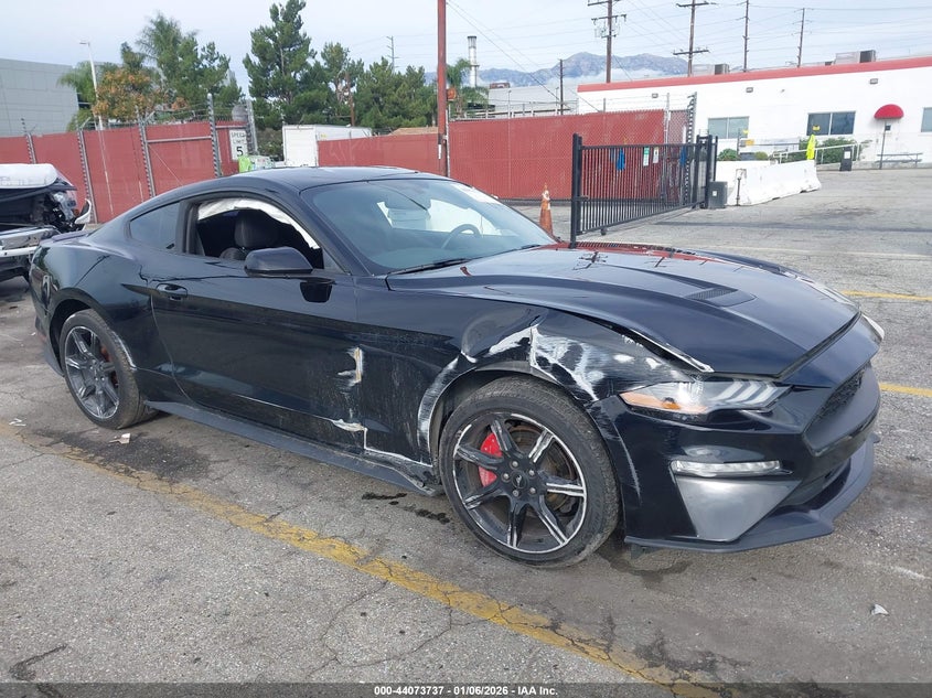 2019 Ford Mustang Ecoboost