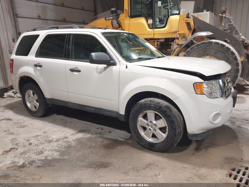 2011 Ford Escape Xlt