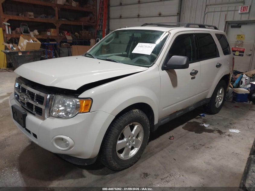 2011 Ford Escape Xlt