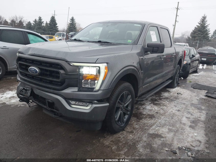 2023 Ford F-150 Xlt