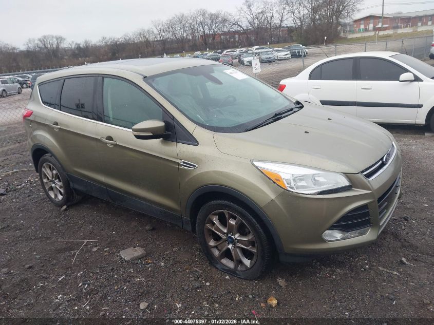 2013 Ford Escape