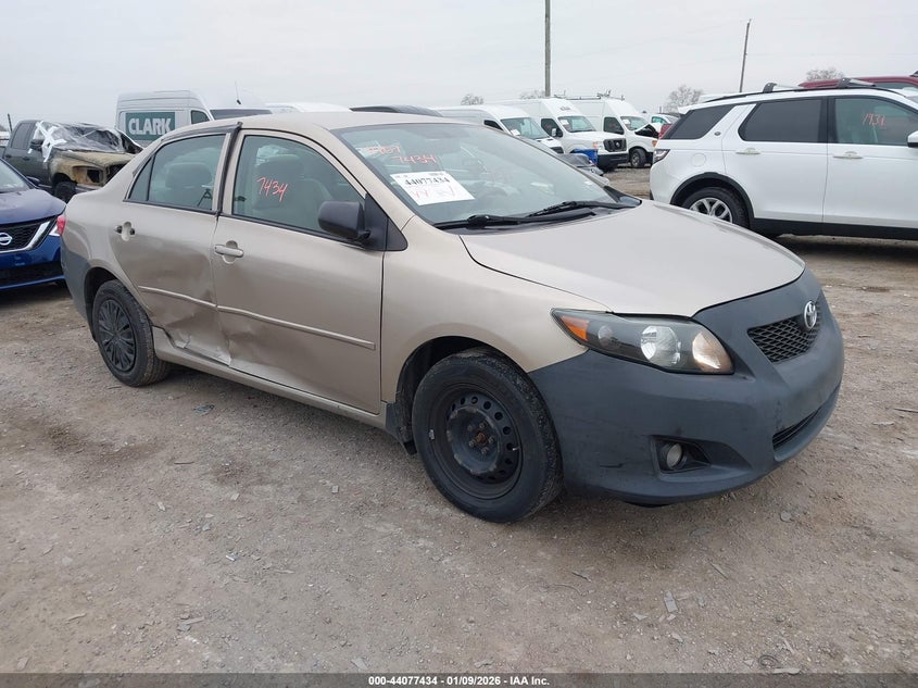 1NXBU4EE4AZ177200 2010 Toyota Corolla auction photo 1