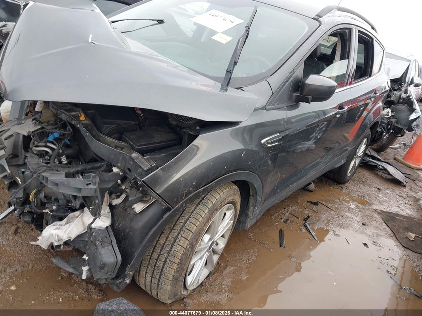 2019 Ford Escape Sel