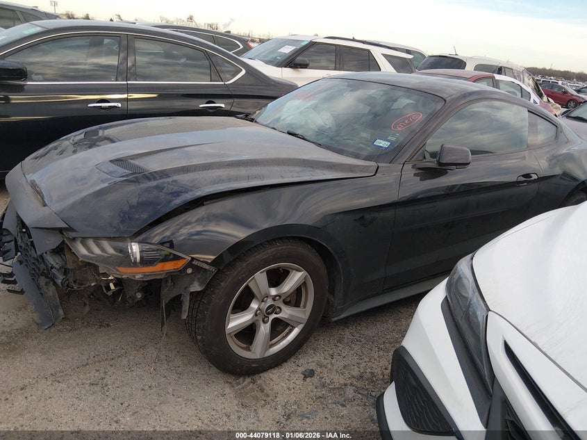 2019 Ford Mustang Ecoboost