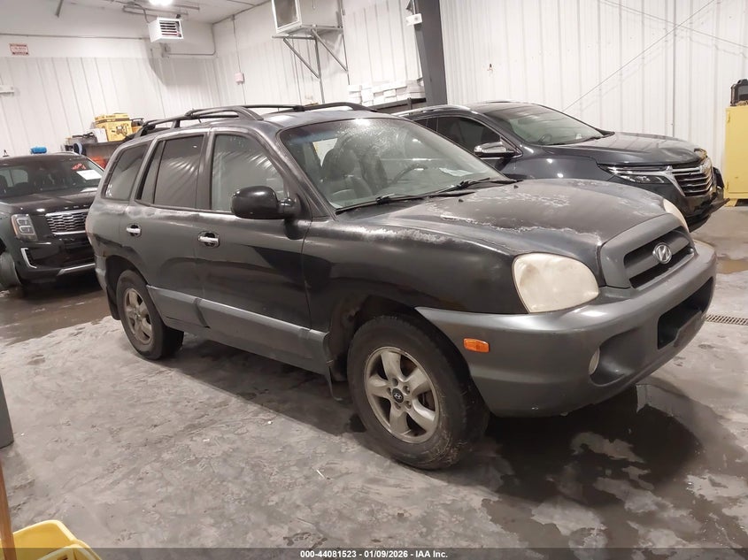 2005 Hyundai Santa Fe Gls/Lx