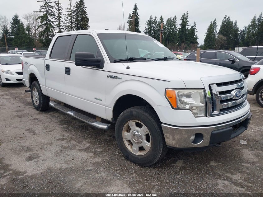 1FTFW1ETXBFC24376 2011 Ford F-150 Xlt auction photo 1