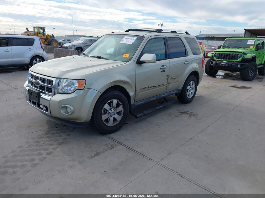 2010 Ford Escape Limited