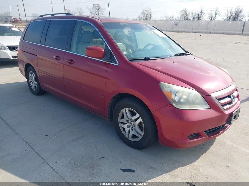 5FNRL38625B418545 2005 Honda Odyssey Ex-L auction photo 1