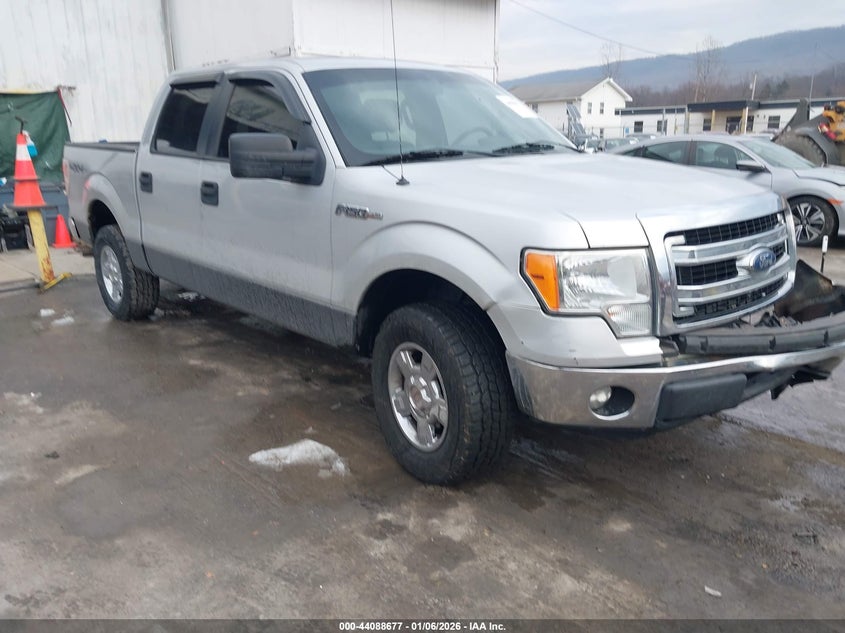 1FTFW1EF0DFC06093 2013 Ford F-150 Xlt auction photo 1