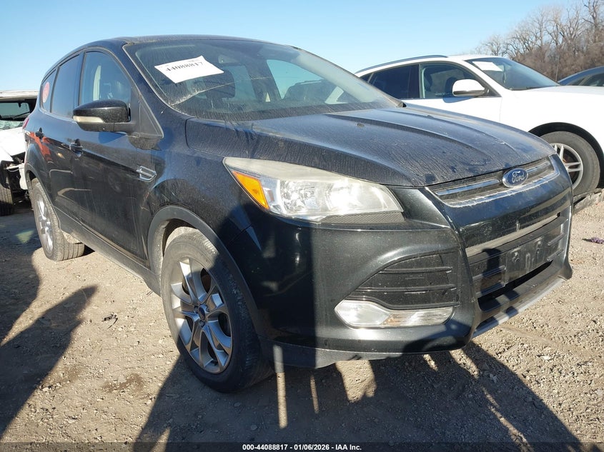 1FMCU0HX9DUB66207 2013 Ford Escape Sel auction photo 1