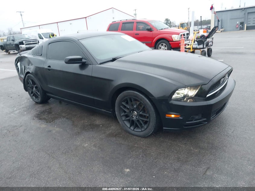 2014 Ford Mustang V6