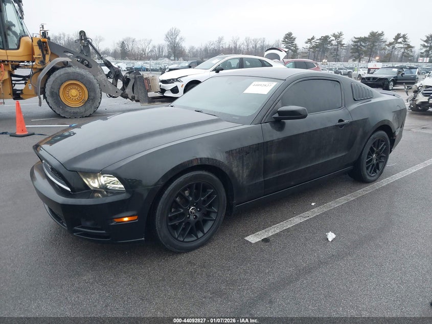 2014 Ford Mustang V6