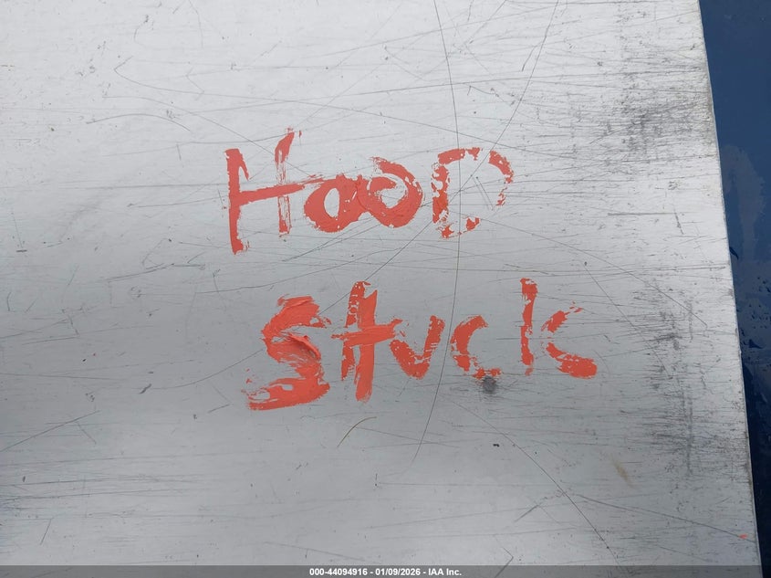 2004 Dodge Dakota Slt VIN: 1D7HG48N94S607987 Lot: 44094916