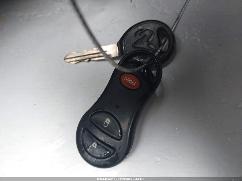 2004 Dodge Dakota Slt VIN: 1D7HG48N94S607987 Lot: 44094916