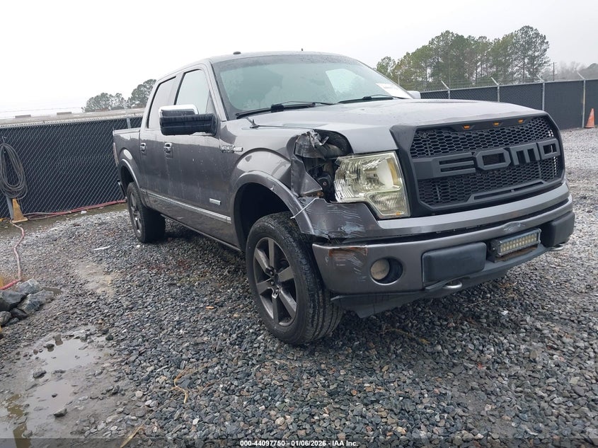 Vin: 1ftfw1et9bfd01027, lot: 44593607, ford f-150 platinum 20111