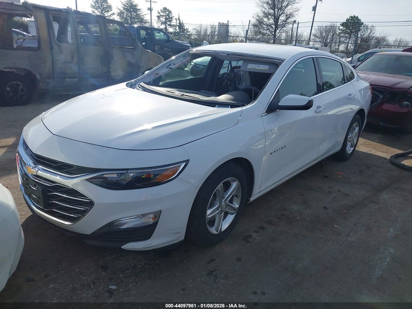 VIN 1G1ZB5ST3RF113501 2024 CHEVROLET MALIBU FWD LS