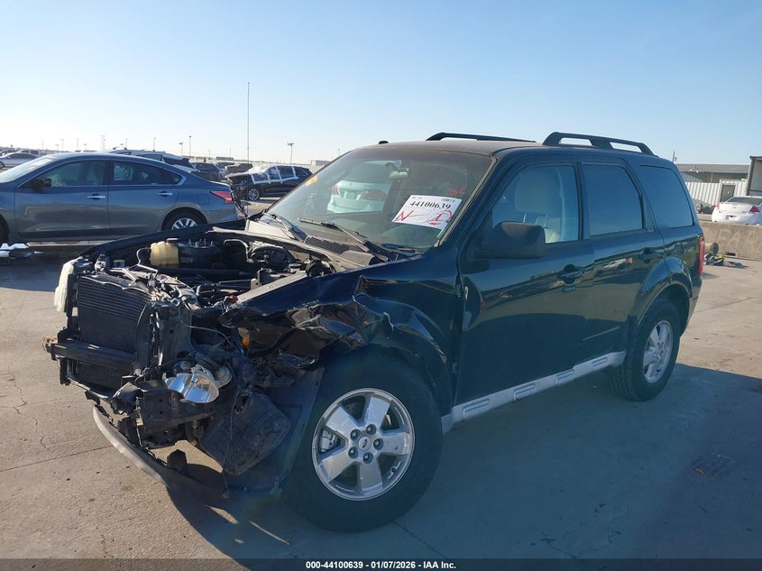 2010 Ford Escape Xlt
