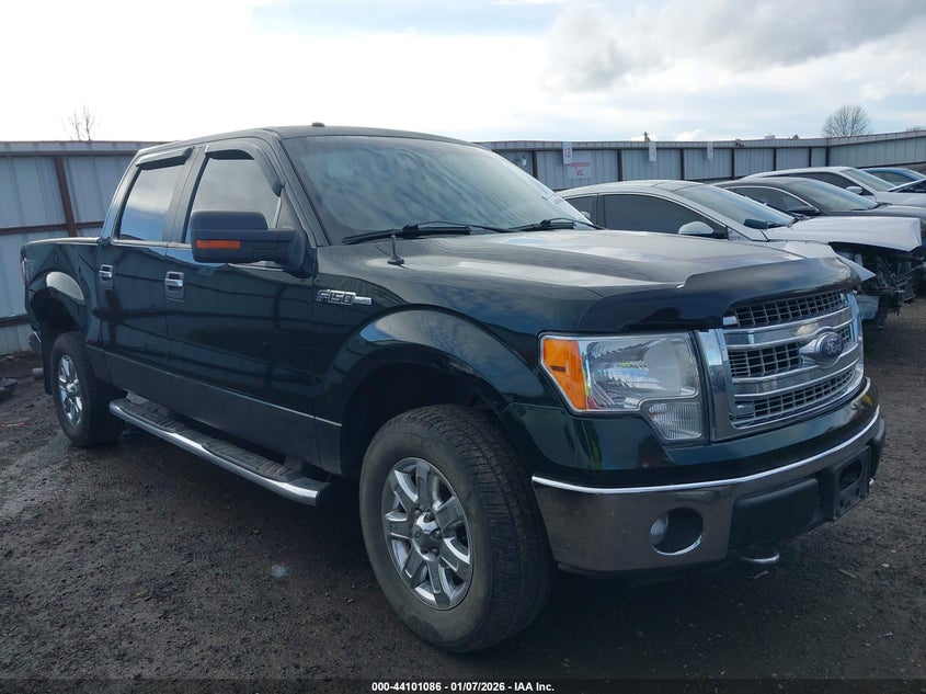 1FTFW1EF1DFB70995 2013 Ford F-150 Xlt auction photo 1