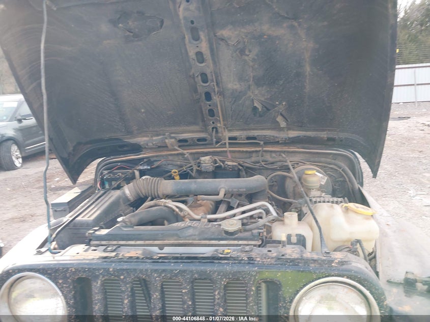 2003 Jeep Wrangler X VIN: 1J4FA39S53P369987 Lot: 44106848