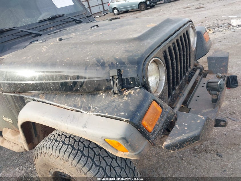 2003 Jeep Wrangler X VIN: 1J4FA39S53P369987 Lot: 44106848