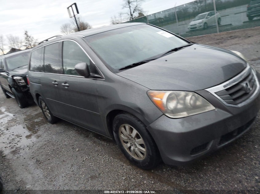 5FNRL38798B086827 2008 Honda Odyssey Ex-L auction photo 1