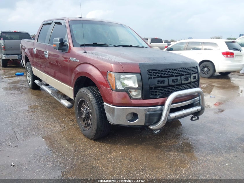 1FTRW12829FB01954 2009 Ford F-150 Xl/Xlt auction photo 1