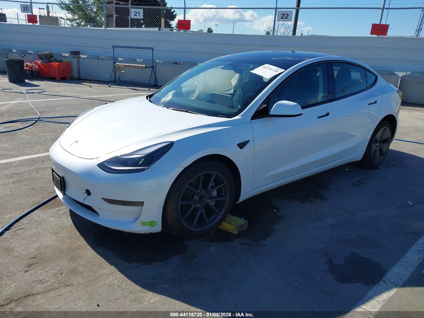 2023 Tesla Model 3 Rear-Wheel Drive