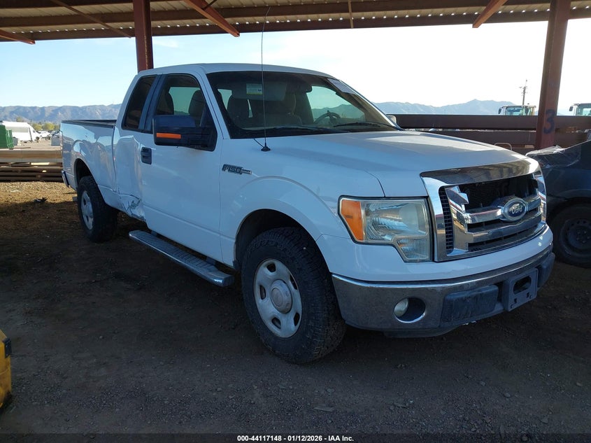 2011 FORD F-150 XLT